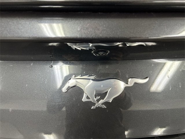 2024 Ford Mustang EcoBoost Fastback