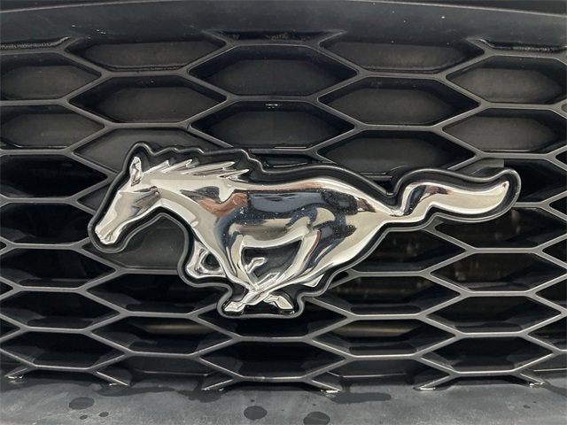 2006 Ford Mustang GT Deluxe