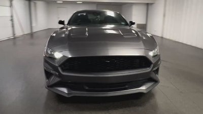 2022 Ford Mustang EcoBoost