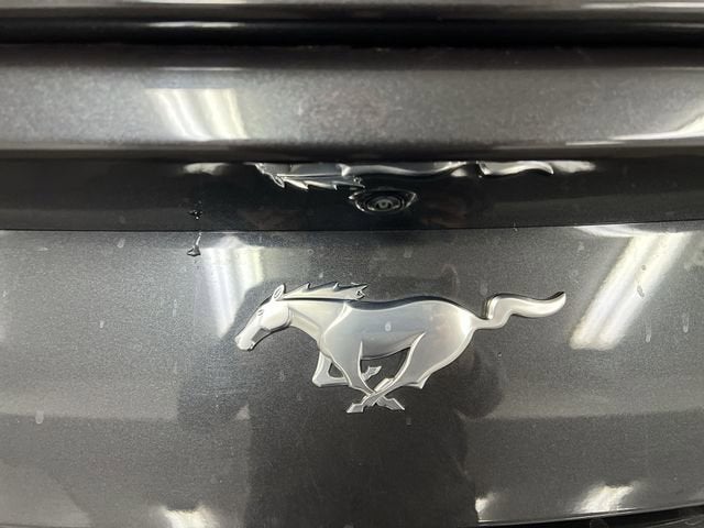 2024 Ford Mustang EcoBoost Fastback