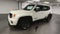 2021 Jeep Renegade 80th Anniversary 4x4